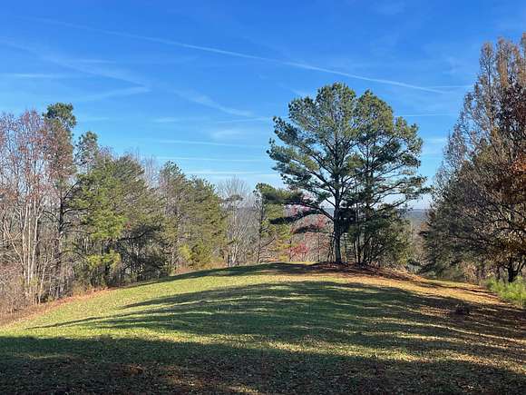 515 Acres of Recreational Land for Sale in Windham Springs, Alabama
