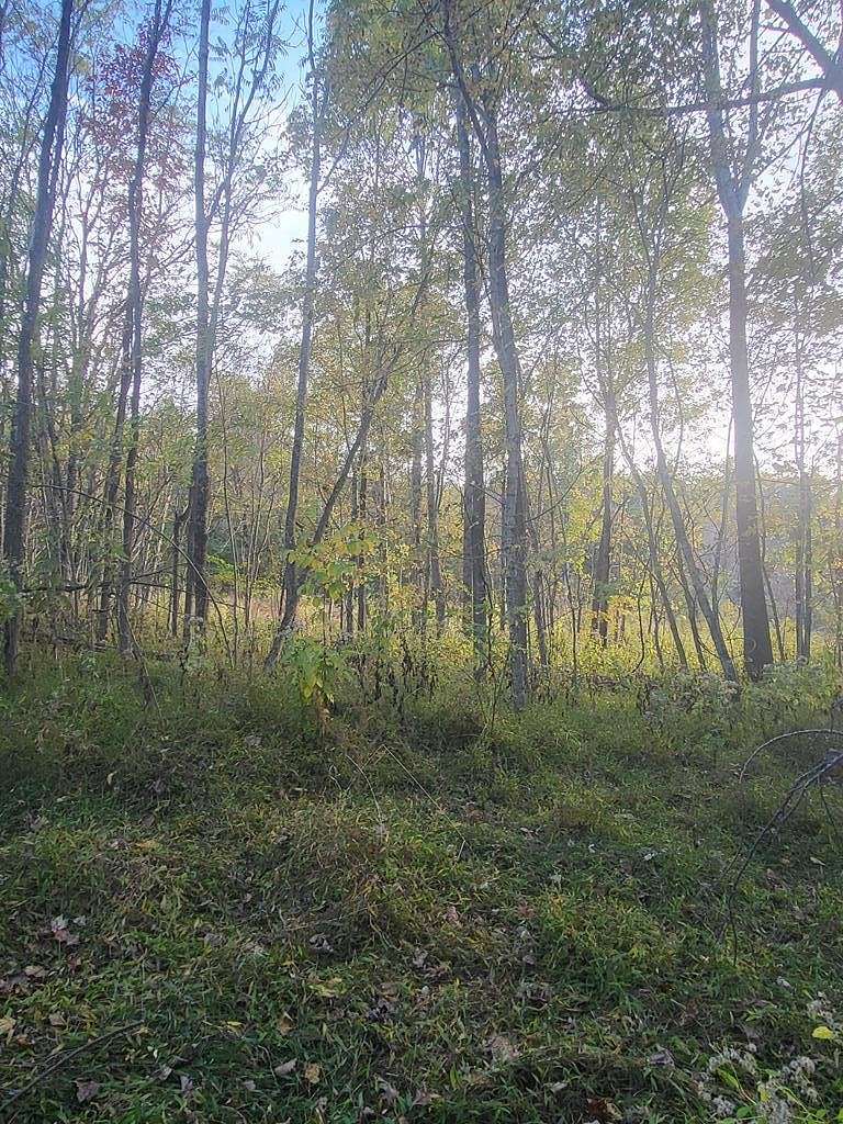 12.4 Acres of Recreational Land for Sale in Hilham, Tennessee