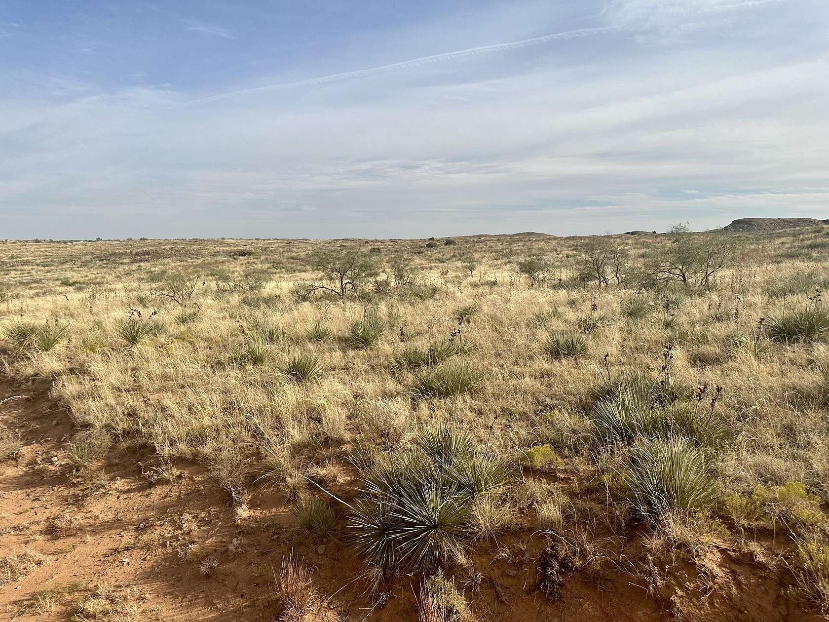 5.45 Acres of Residential Land for Sale in Amarillo, Texas
