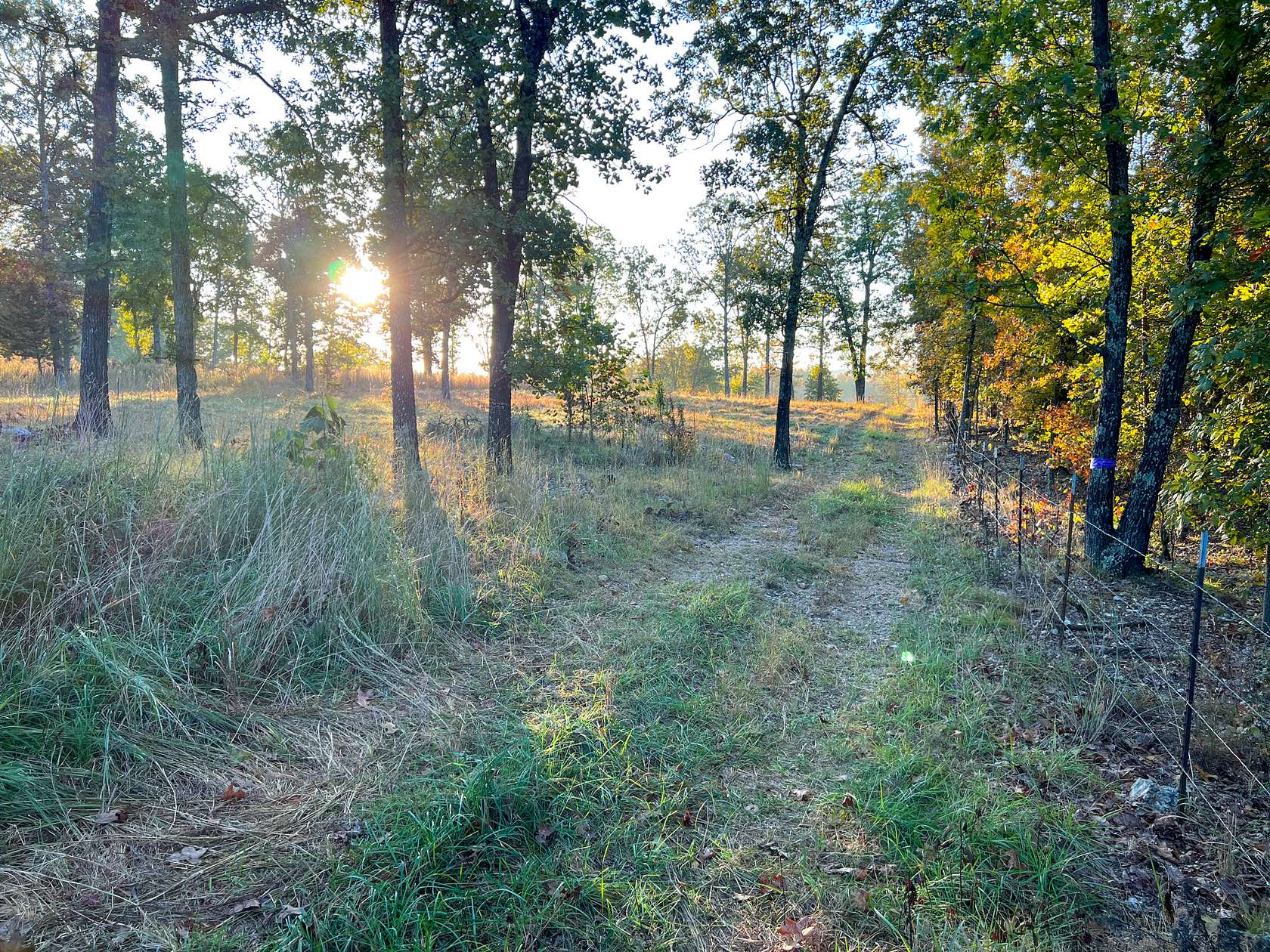 11 Acres of Recreational Land & Farm for Sale in South Fork, Missouri
