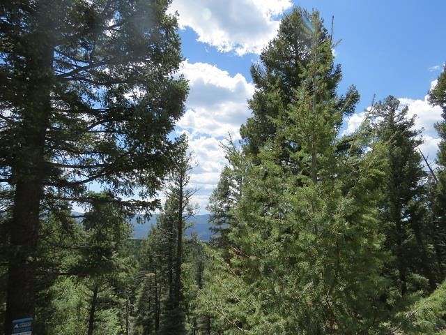 0.8 Acres of Residential Land for Sale in Angel Fire, New Mexico