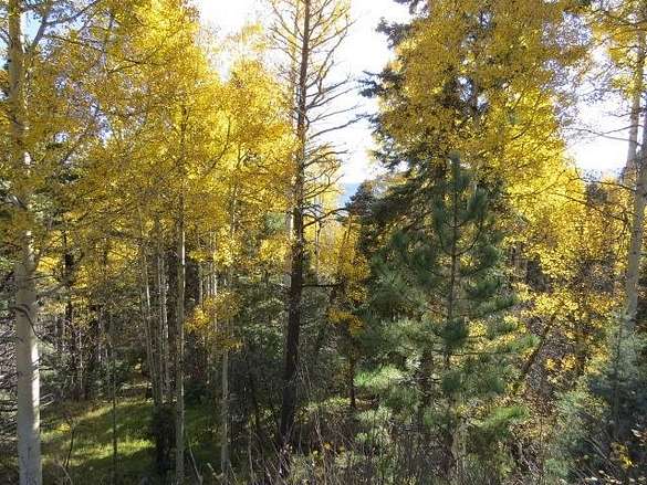 20.1 Acres of Land for Sale in Angel Fire, New Mexico