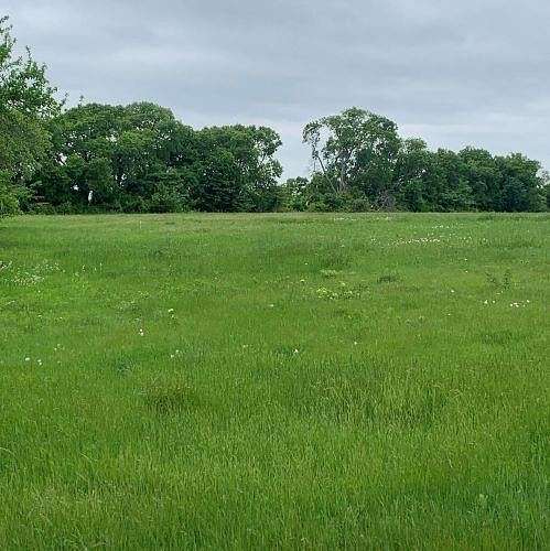 2.5 Acres of Residential Land for Sale in Gunter, Texas