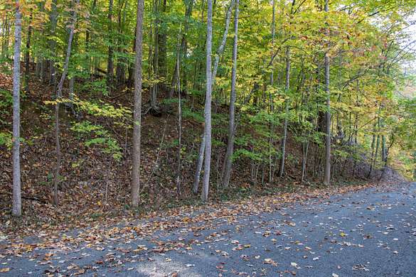 0.9 Acres of Residential Land for Sale in Bristol, Tennessee