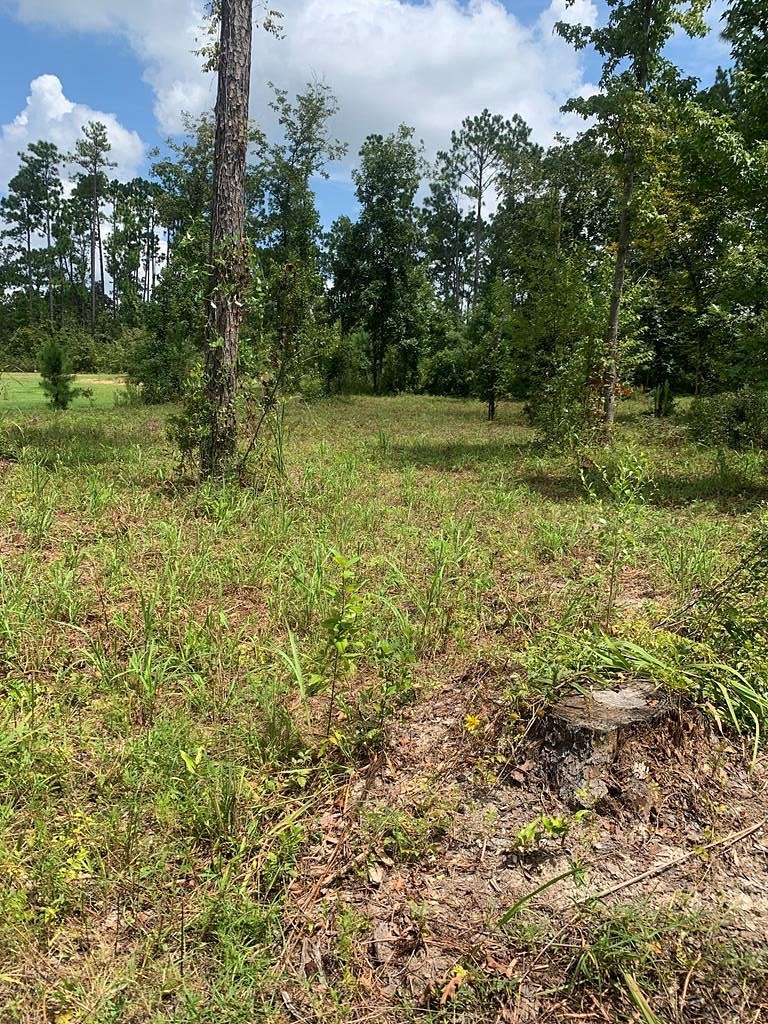 0.7 Acres of Residential Land for Sale in Donalsonville, Georgia