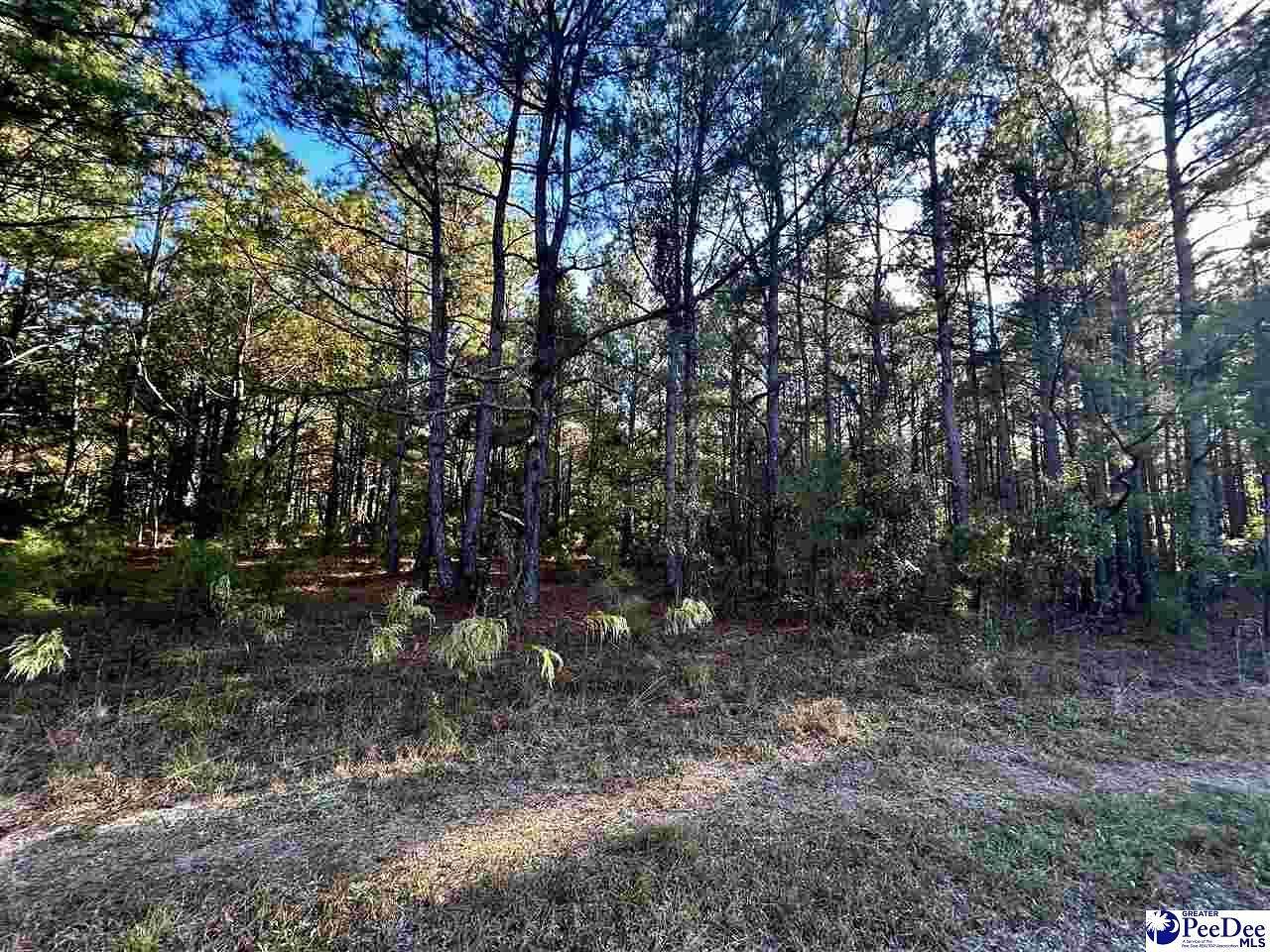 2 Acres of Land for Sale in Pamplico, South Carolina