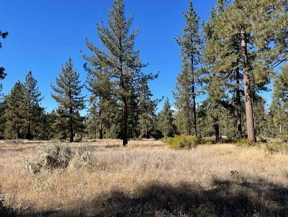 4.74 Acres of Residential Land for Sale in Mountain Center, California