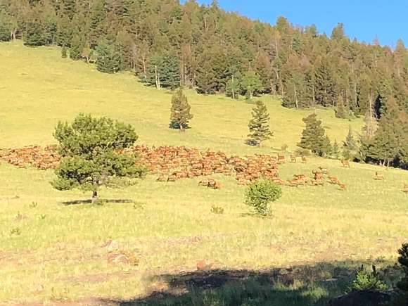 295 Acres of Recreational Land & Farm for Sale in Guffey, Colorado