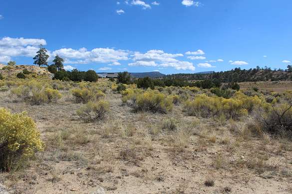 1.5 Acres of Residential Land for Sale in Cuba, New Mexico