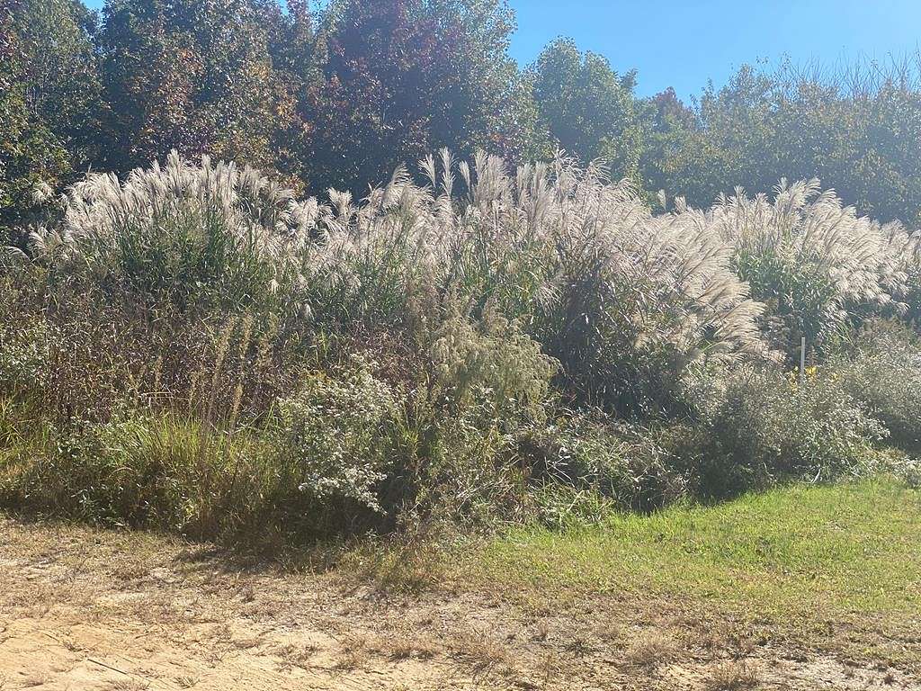 0.72 Acres of Land for Sale in Hallwood, Virginia