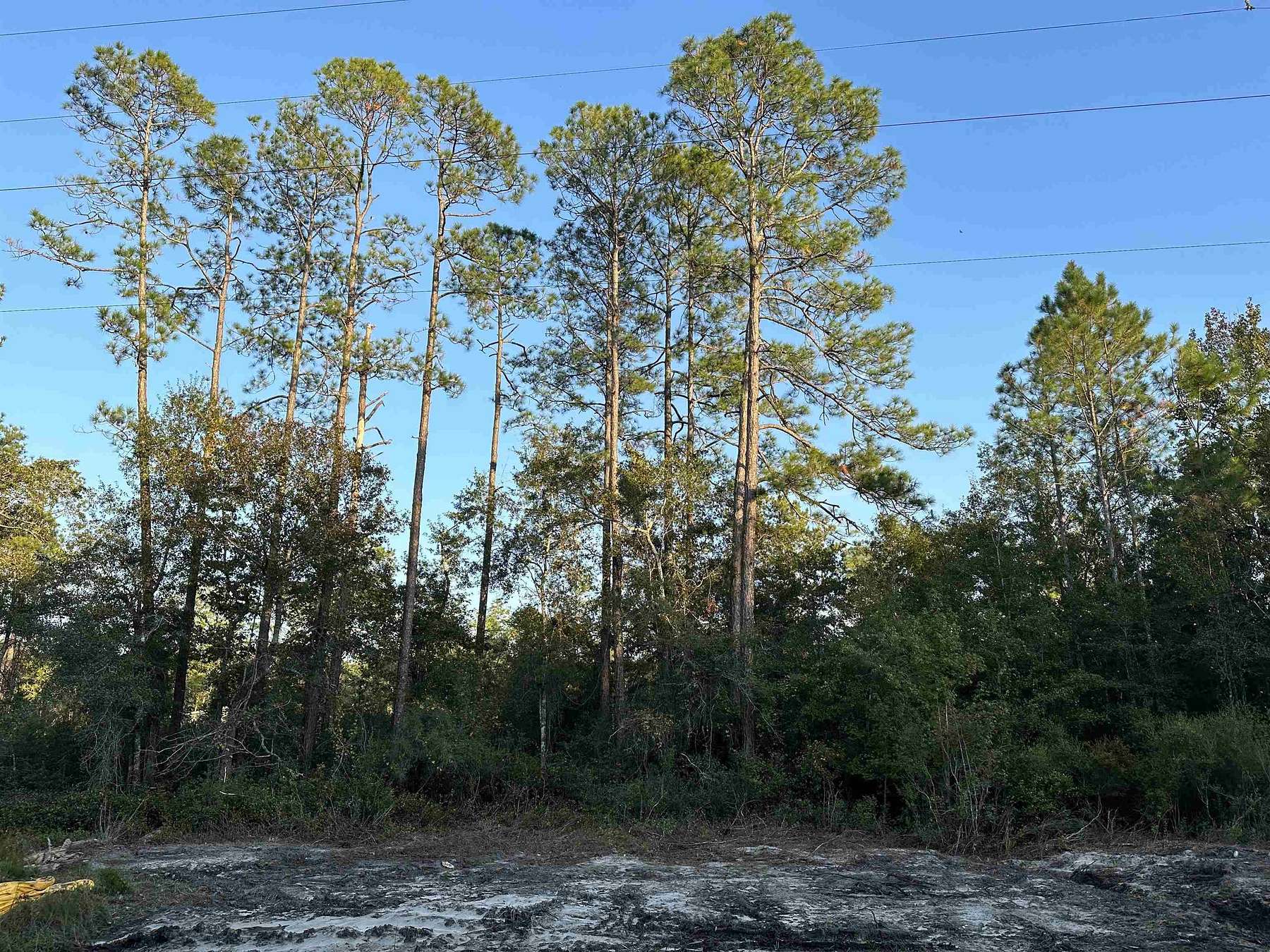 0.22 Acres of Land for Sale in Sopchoppy, Florida