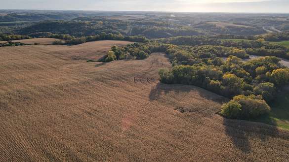 40 Acres of Land for Sale in Red Wing, Minnesota