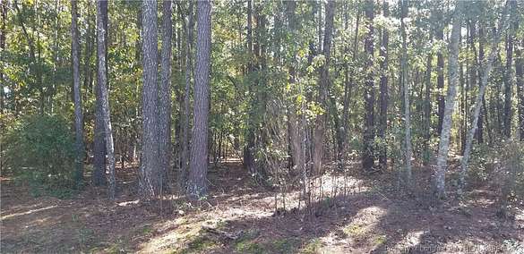 1 Acre of Residential Land for Sale in Fayetteville, North Carolina