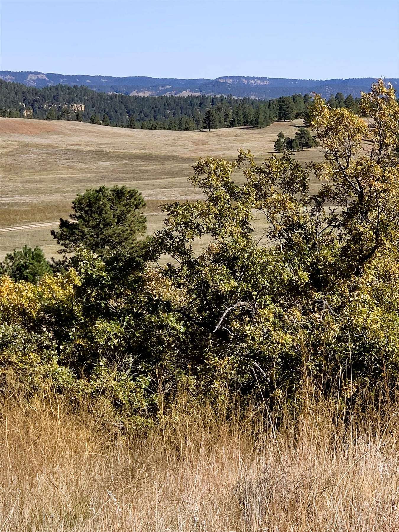 39.3 Acres of Agricultural Land for Sale in Hulett, Wyoming