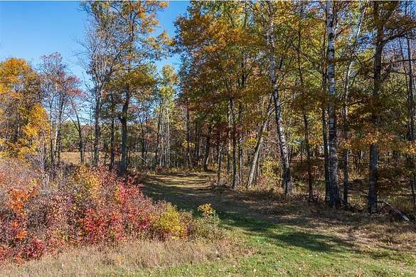 81 Acres of Land for Sale in Loon Lake Township, Minnesota