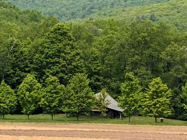 5.38 Acres of Residential Land with Home for Sale in Coudersport, Pennsylvania