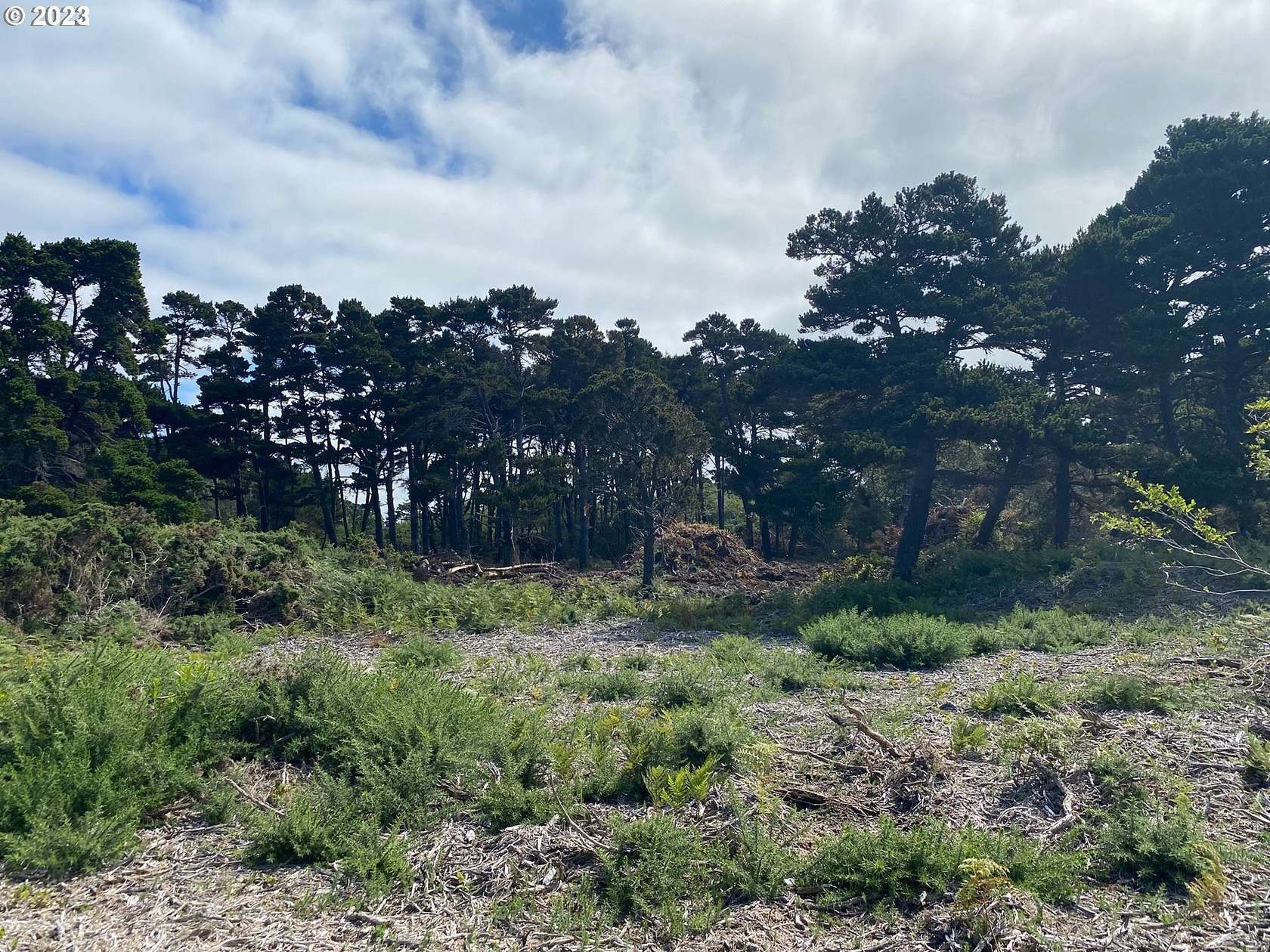 0.63 Acres of Residential Land for Sale in Bandon, Oregon