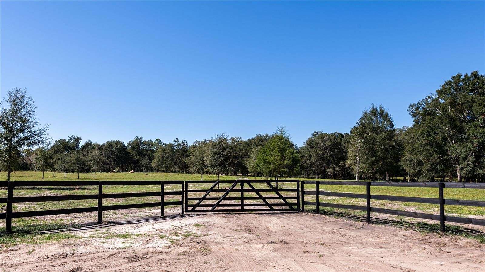 20.9 Acres of Agricultural Land for Sale in Williston, Florida