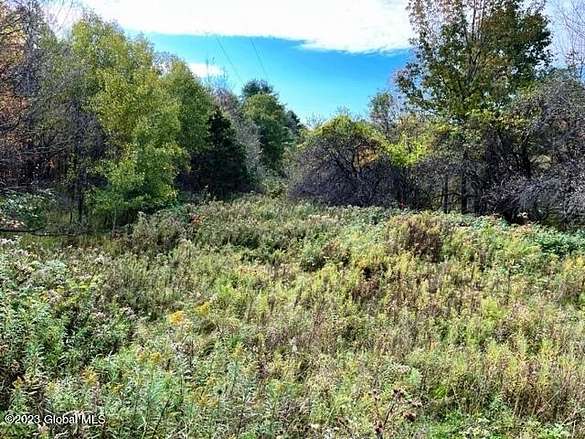 35.7 Acres of Recreational Land for Sale in Berne, New York
