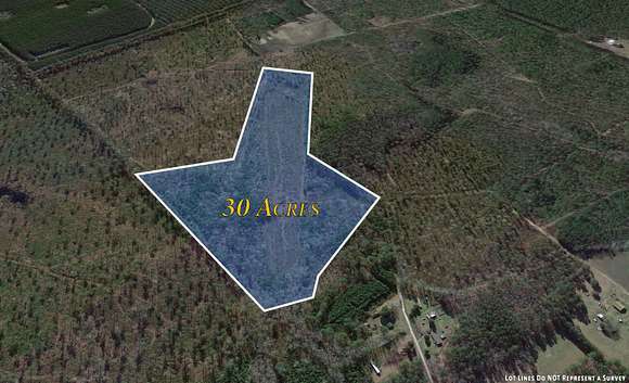 30 Acres of Agricultural Land for Sale in Ridgeville, South Carolina