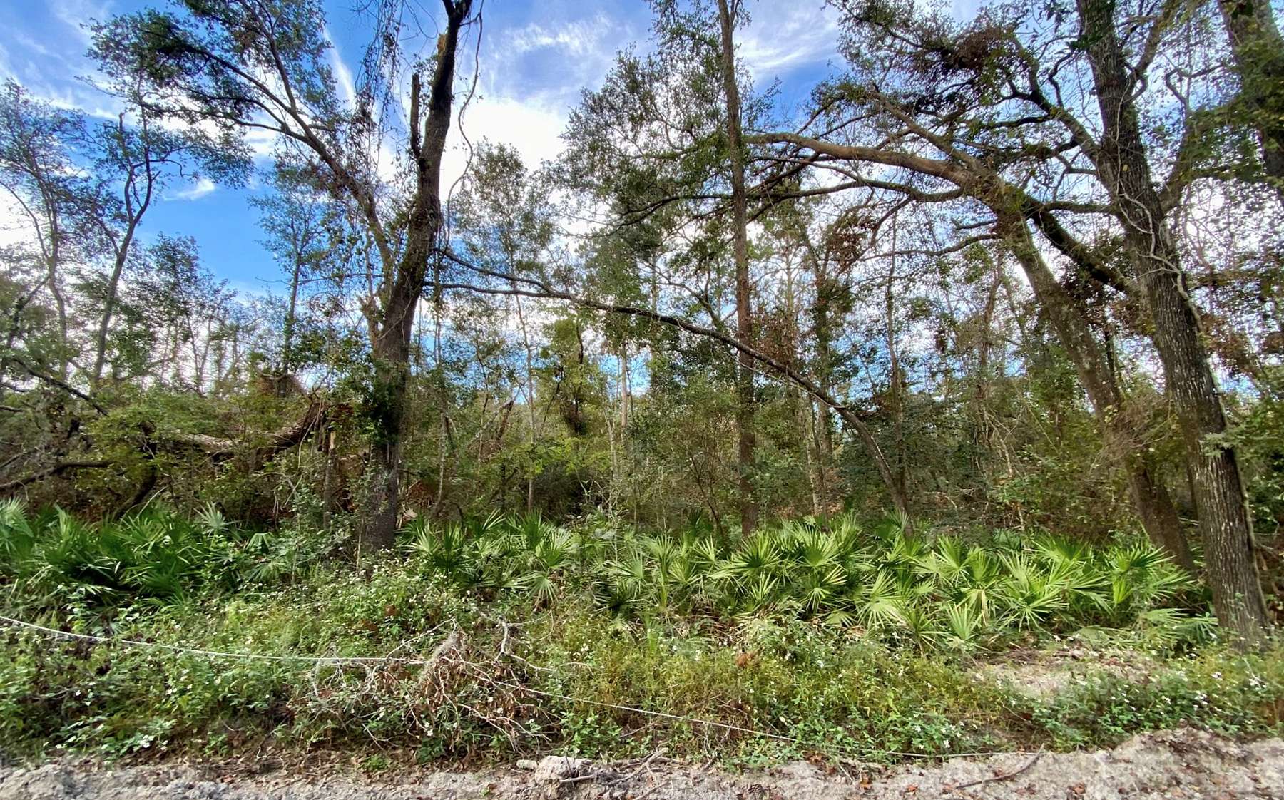0.22 Acres of Land for Sale in Jasper, Florida