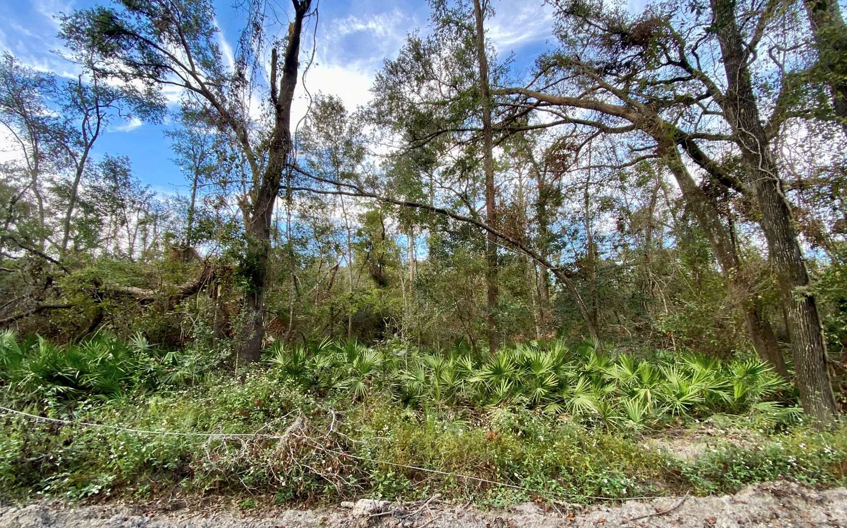 0.22 Acres of Land for Sale in Jasper, Florida