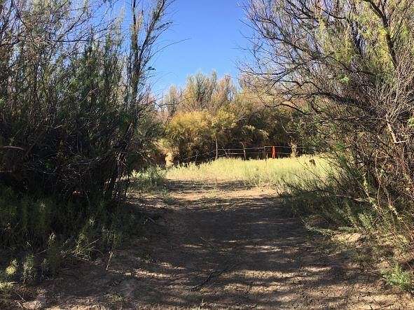 60 Acres of Recreational Land & Farm for Sale in Belen, New Mexico