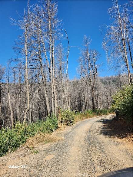 34 Acres of Land for Sale in Berry Creek, California