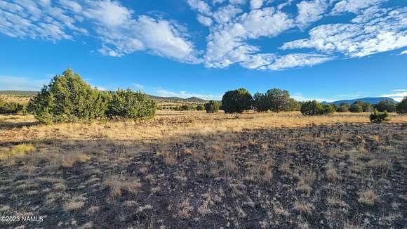 30.7 Acres of Recreational Land for Sale in Williams, Arizona