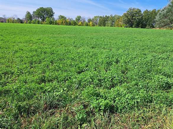 50.9 Acres of Agricultural Land for Sale in Forestville, Wisconsin
