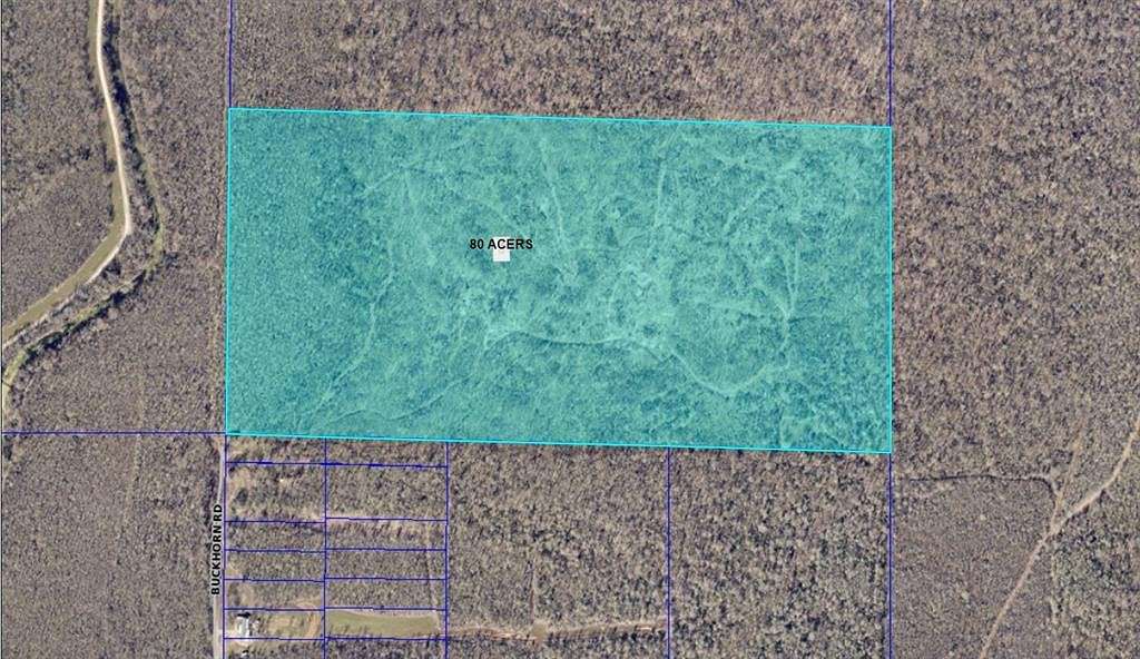 80 Acres of Recreational Land for Sale in Elm Grove, Louisiana