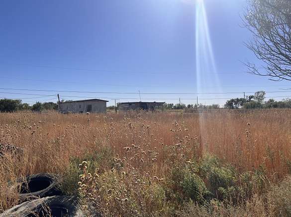 0.3 Acres of Land for Sale in Fritch, Texas