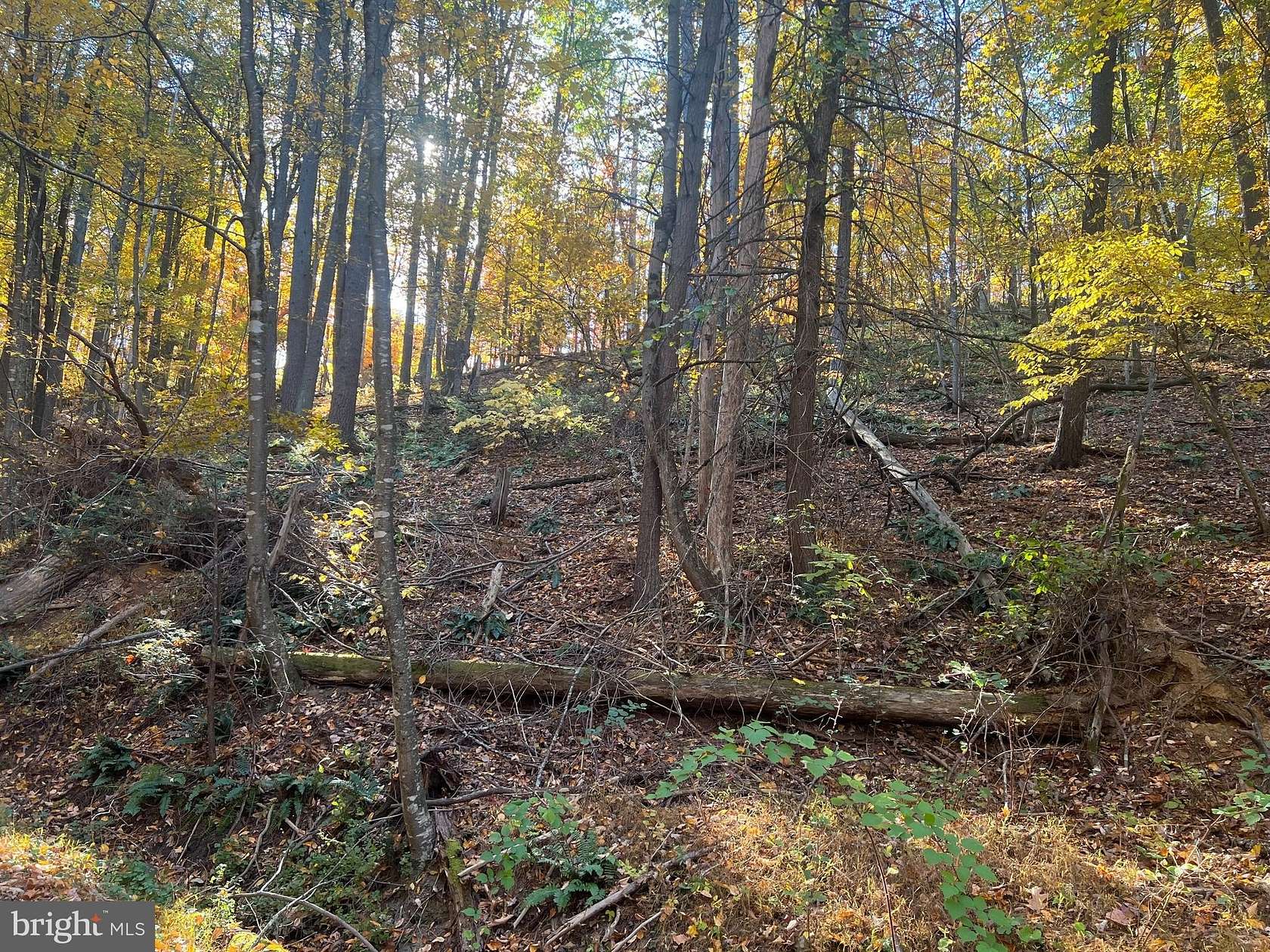 0.41 Acres of Land for Sale in Basye, Virginia