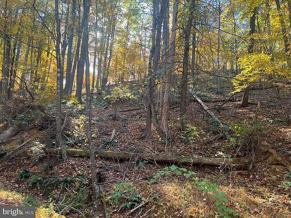 0.41 Acres of Land for Sale in Basye, Virginia