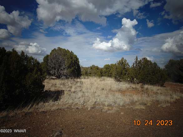 0.39 Acres of Residential Land for Sale in Show Low, Arizona