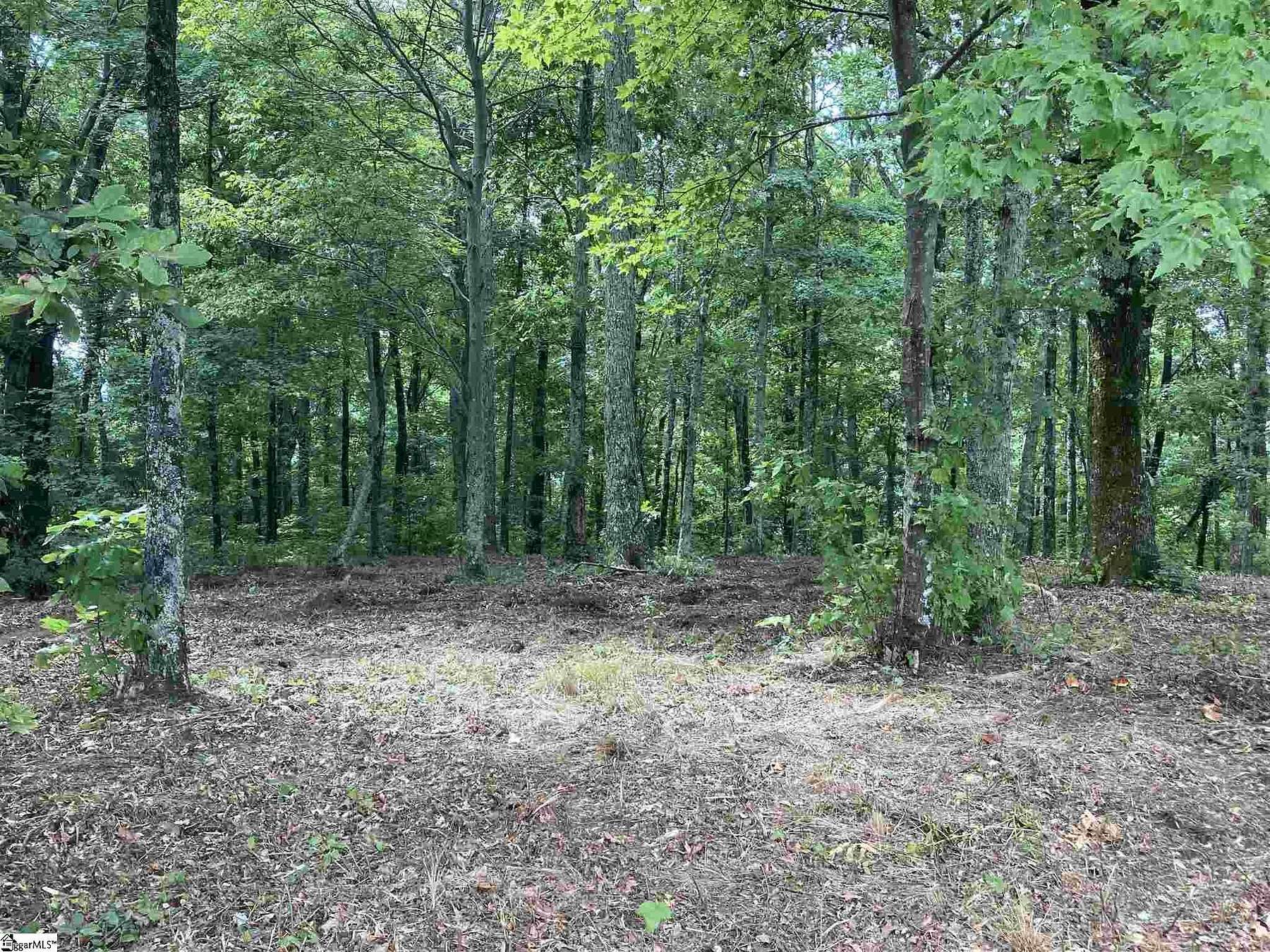 1.5 Acres of Residential Land for Sale in Landrum, South Carolina