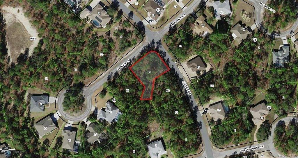 0.31 Acres of Land for Sale in Homosassa, Florida