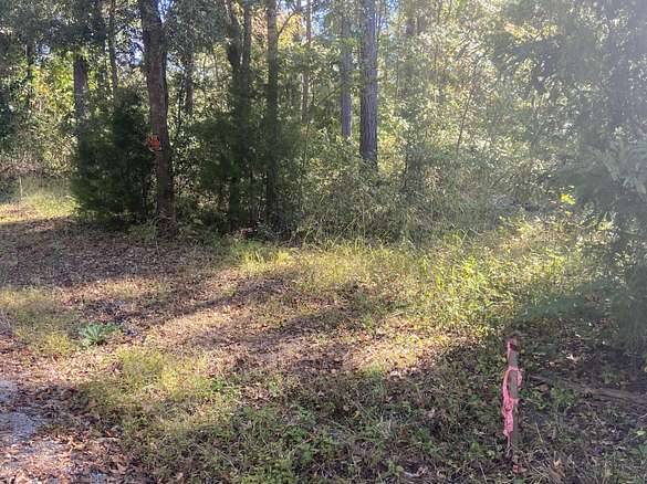 1 Acre of Residential Land for Sale in St. Stephen, South Carolina