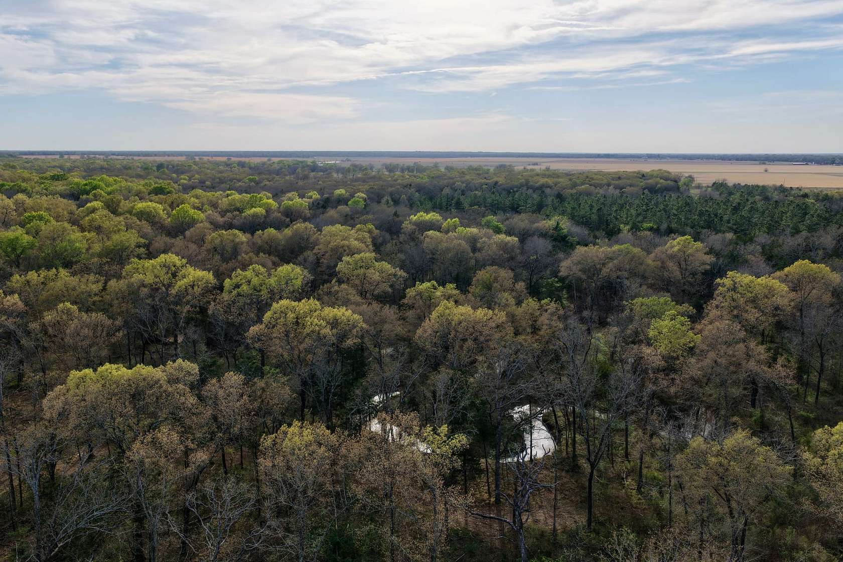 62.6 Acres of Recreational Land for Sale in Paris, Texas