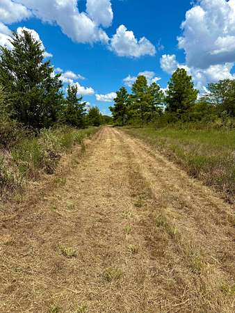62.6 Acres of Recreational Land for Sale in Paris, Texas