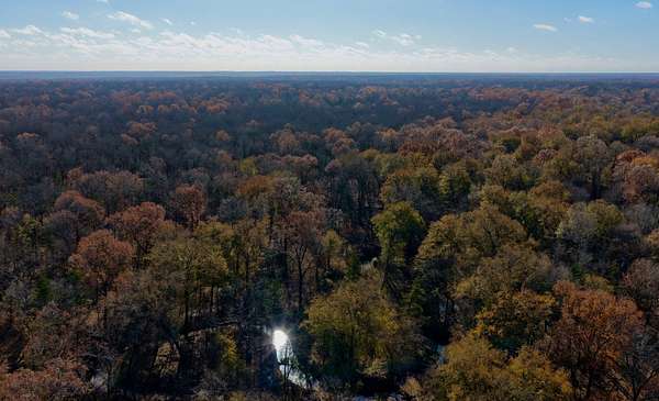 62.6 Acres of Recreational Land for Sale in Paris, Texas