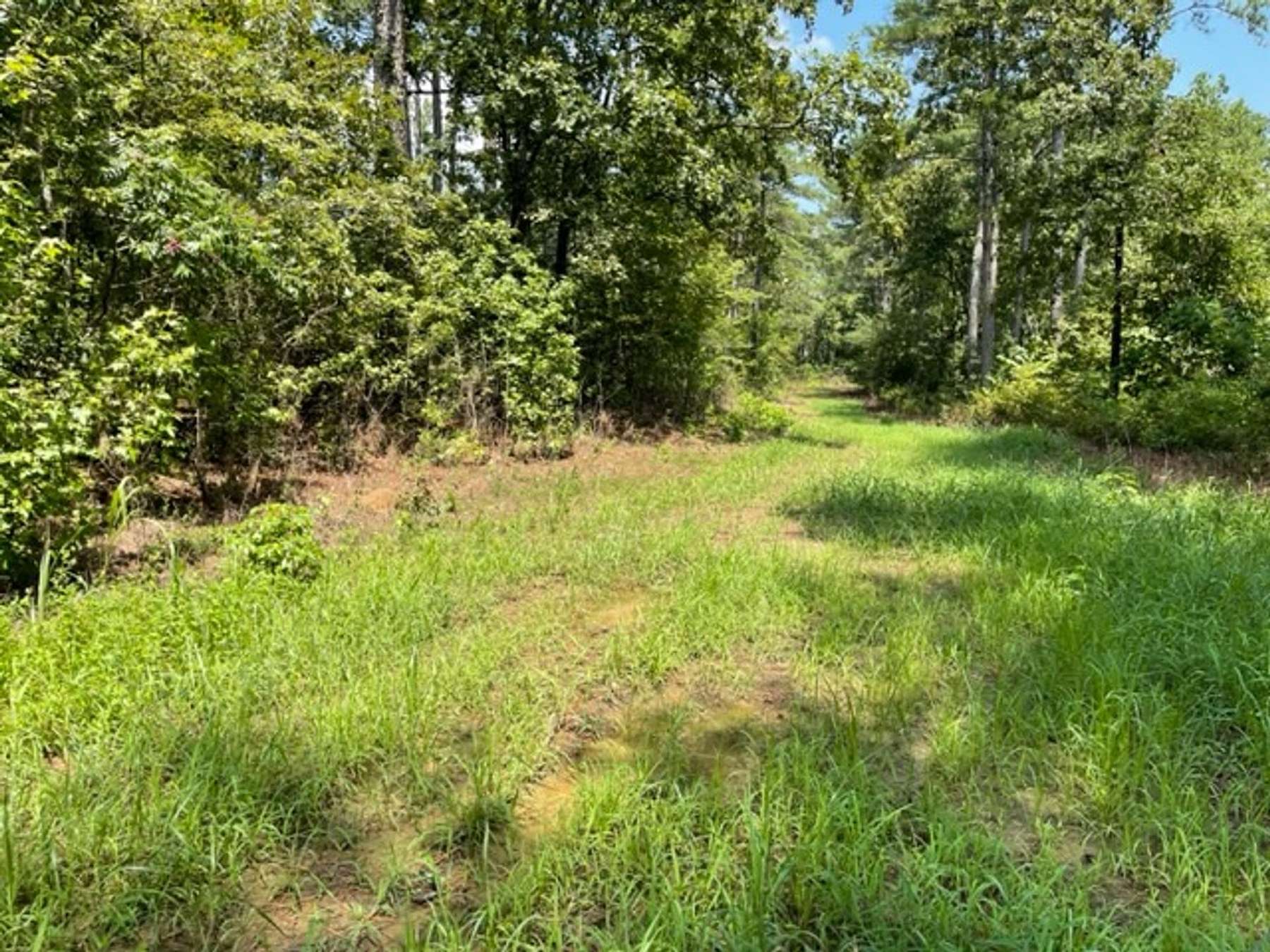 39 Acres of Recreational Land for Sale in Bolivar, Tennessee