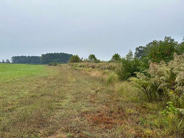 10.2 Acres of Land for Sale in Zebulon, North Carolina