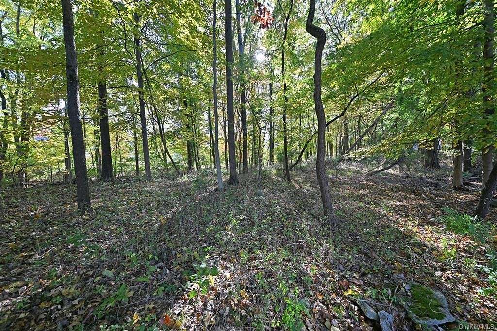 0.59 Acres of Land for Sale in Ramapo, New York