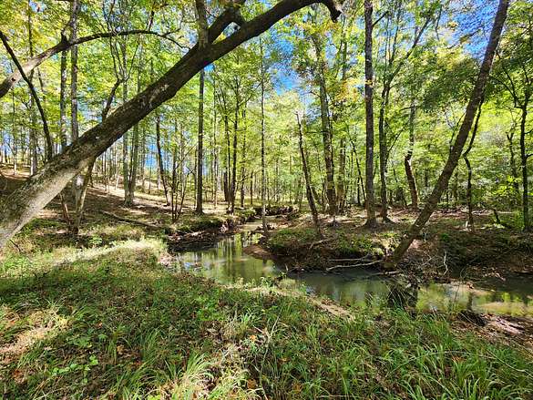 101 Acres of Recreational Land for Sale in La Fayette, Alabama