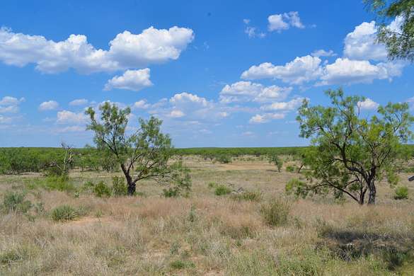 3,900 Acres of Land for Sale in Ballinger, Texas