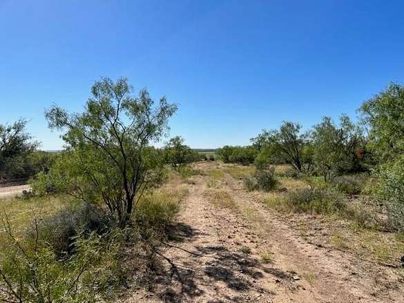 Land for Sale in Millersview, Texas