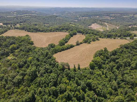 48 Acres of Agricultural Land for Sale in Chadwick, Missouri