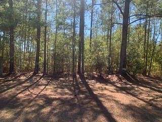 58.3 Acres of Recreational Land for Sale in Brookhaven, Mississippi
