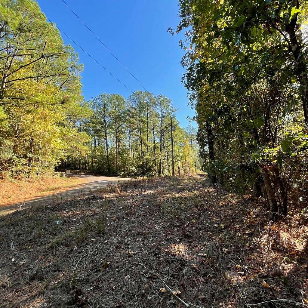 84.37 Acres of Recreational Land for Sale in Georgetown, Mississippi